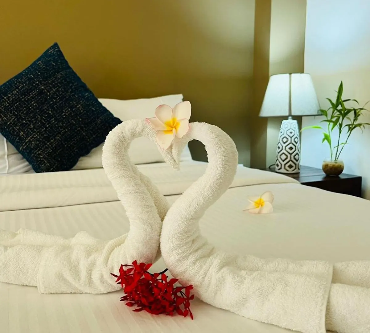 ***  Hotel The Cave Negombo Sri Lanka