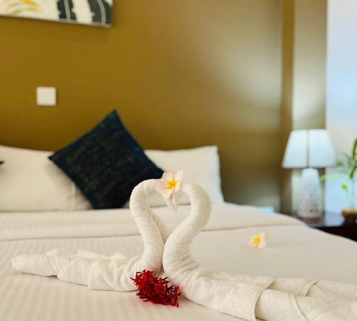 Hotel The Cave Negombo